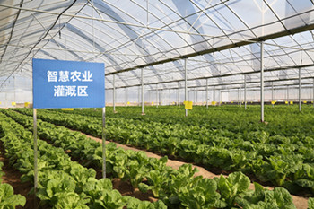 澳门新莆京88805tccLoRa智慧灌溉系统是如何让农业灌溉做到精准高效
